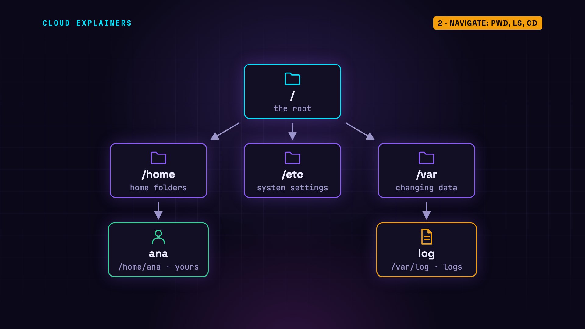 Navigate: pwd, ls, cd: diagram from the video